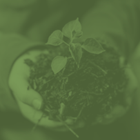 Sustainability and CSR